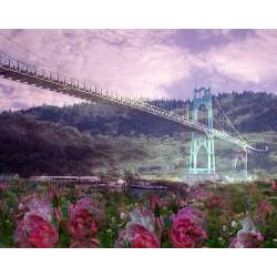 St. John's Bridge